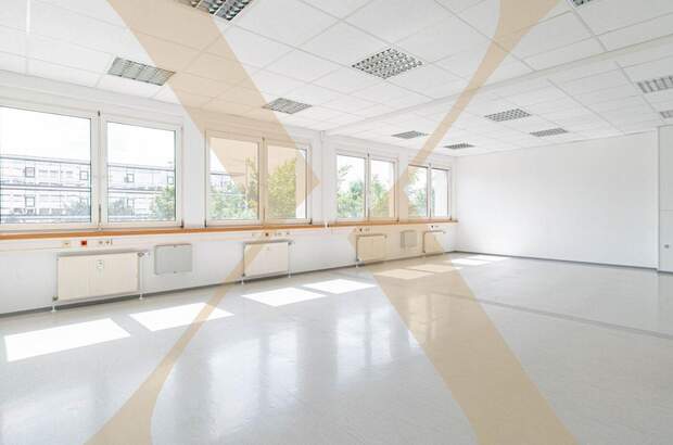 Gewerbeobjekt mieten in 4600 Wels (Bild 1)