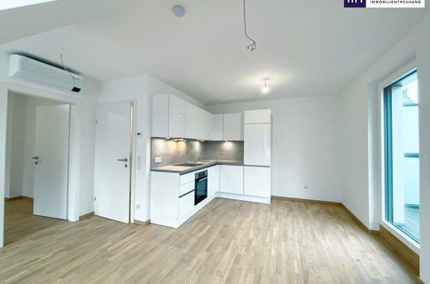 Terrassenwohnung mieten in 1220 Wien (Bild 1)