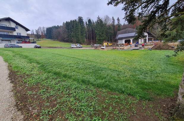 Grundstück kaufen in 4441 Behamberg (Bild 2)