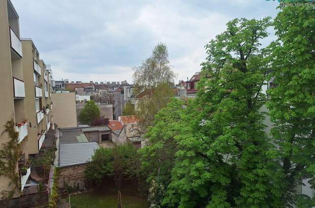 Wohnung mieten in 1170 Wien (Bild 4)