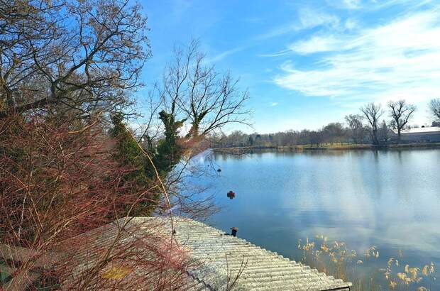 Gewerbeobjekt mieten in 1220 Wien (Bild 5)