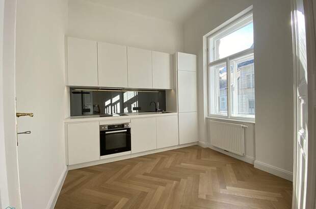Altbauwohnung mieten in 1010 Wien (Bild 3)