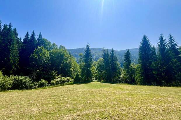 Einfamilienhaus kaufen in 8553 St. Oswald (Bild 3)