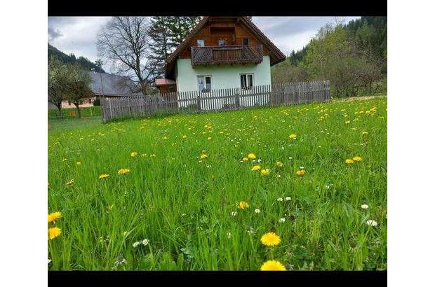 Bauernhaus kaufen in 8763 Möderbrugg (Bild 1)