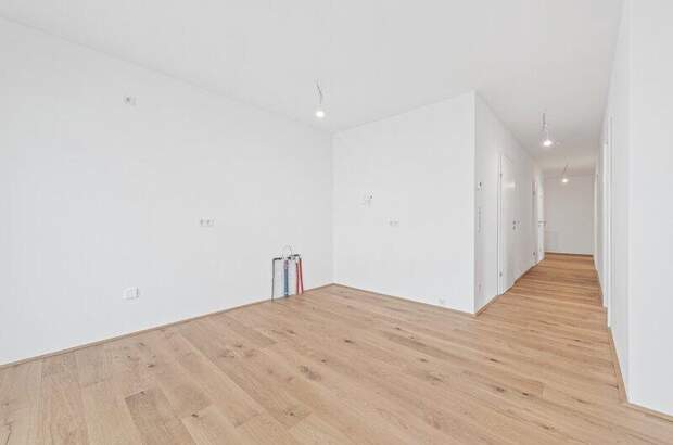 Terrassenwohnung kaufen in 2540 Bad Vöslau (Bild 5)