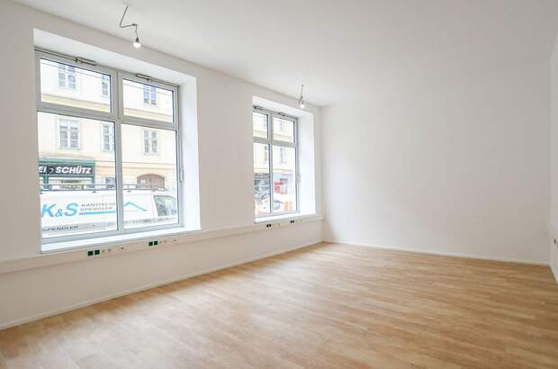 Gewerbeobjekt mieten in 1030 Wien (Bild 1)