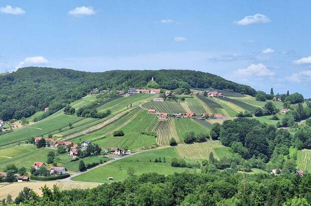 Gewerbeobjekt kaufen in 8354 Waltra (Bild 1)