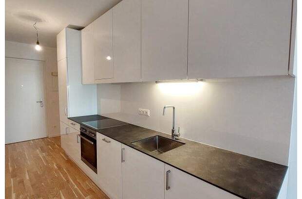 Terrassenwohnung mieten in 1100 Wien (Bild 5)