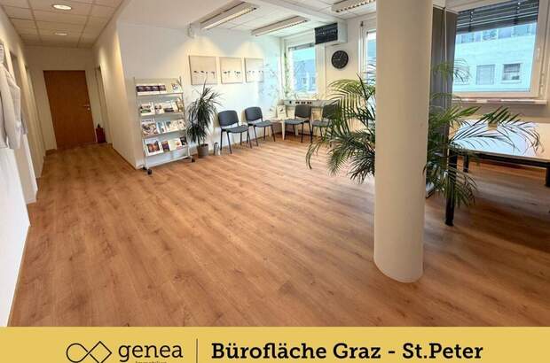 Gewerbeobjekt mieten in 8042 Graz (Bild 3)
