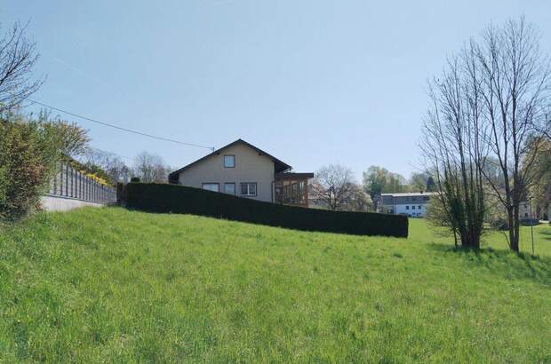 Grundstück kaufen in 4073 Wilhering (Bild 1)