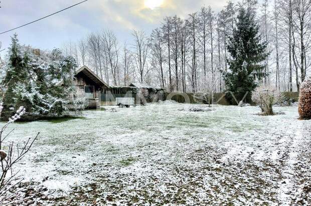 Grundstück kaufen in 4073 Wilhering (Bild 4)