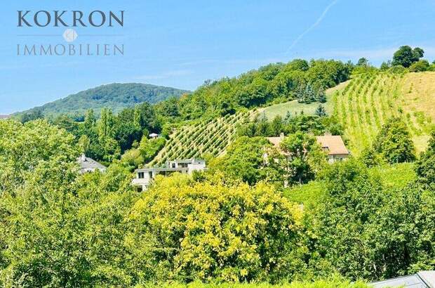 Grundstück kaufen in 1190 Wien (Bild 5)