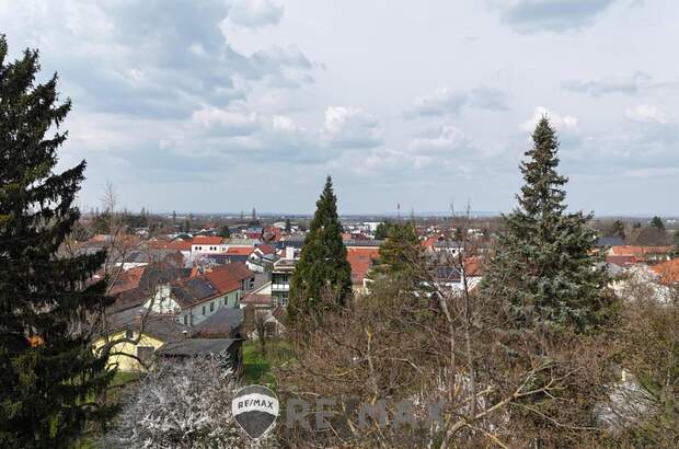 Grundstück kaufen in 3433 Königstetten (Bild 1)