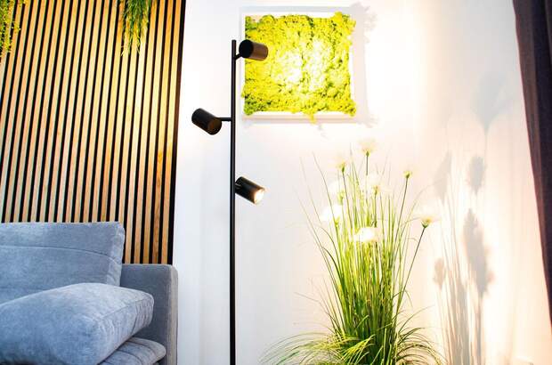 Mietwohnung in 4040 Linz (Bild 1)