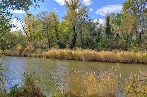 Terrassenwohnung mieten in 1220 Wien (Bild 4)