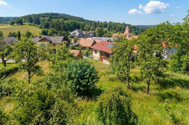 Gewerbeobjekt kaufen in 2560 Alkersdorf (Bild 3)