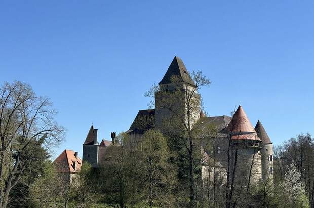 Terrassenwohnung mieten in 3860 Heidenreichstein (Bild 1)