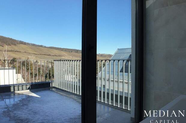 Haus mit Garten mieten in 1190 Wien (Bild 5)