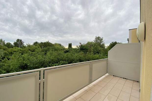 Wohnung mit Balkon mieten in 2493 Eggendorf (Bild 3)