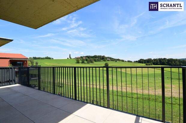 Terrassenwohnung kaufen in 8411 Hengsberg (Bild 4)