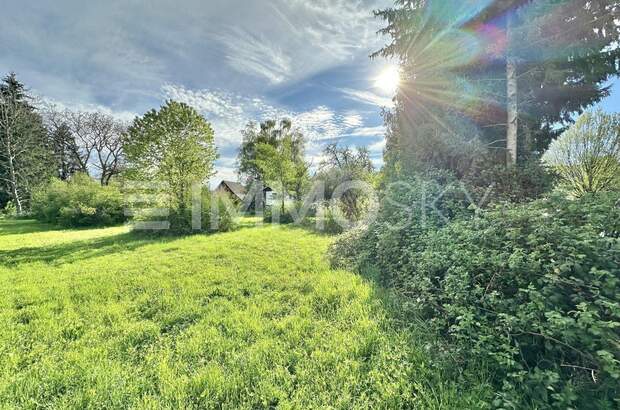 Grundstück kaufen in 6972 Fußach (Bild 4)