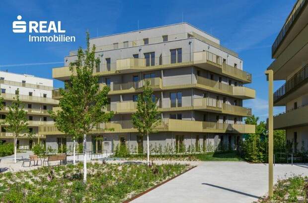 Terrassenwohnung kaufen in 1210 Wien (Bild 2)