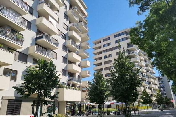 Wohnung mit Balkon mieten in 8020 Graz Eggenberg