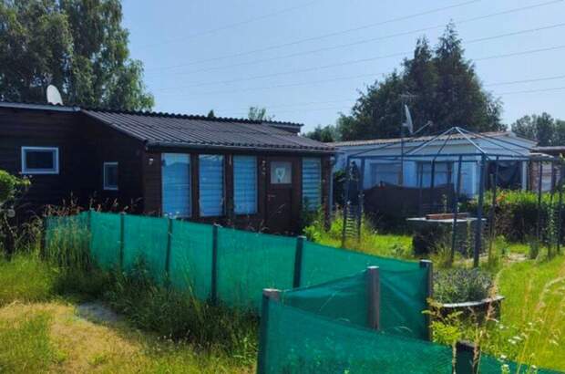 Immobilie kaufen in 7083 Purbach (Bild 4)