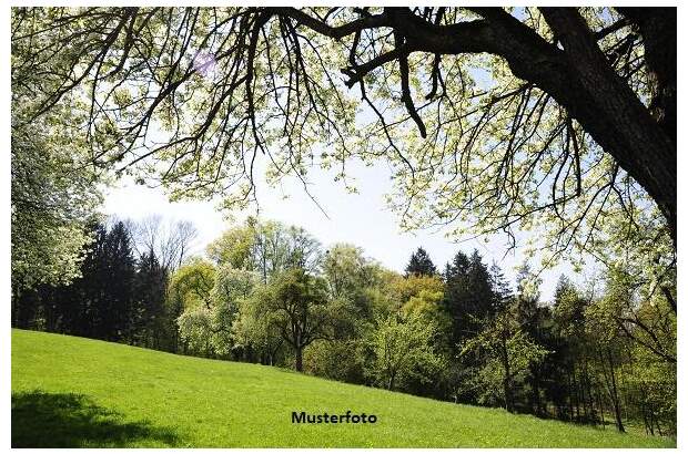 Grundstück kaufen in 4372 St. Georgen (Bild 1)