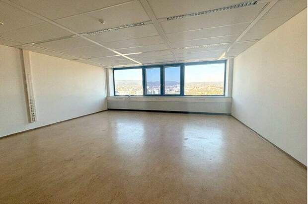 Büro / Praxis mieten in 2351 Wr. Neudorf (Bild 1)