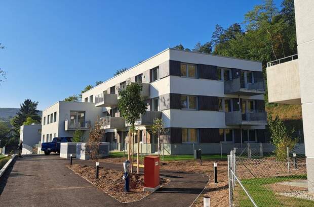 Wohnung mieten in 3040 Neulengbach (Bild 3)