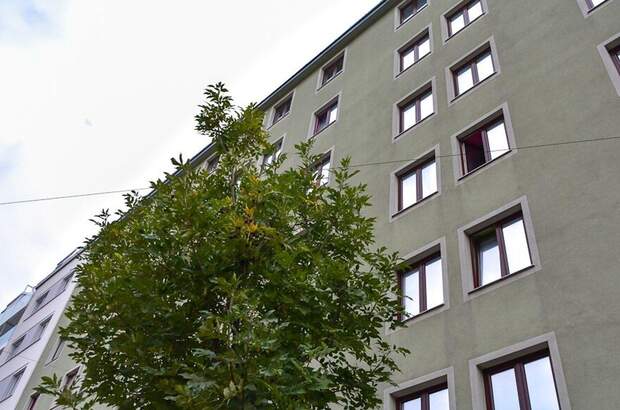 Anlageobjekt kaufen in 1200 Wien (Bild 1)