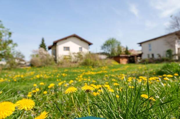 Haus mit Garten kaufen in 9500 Villach (Bild 5)