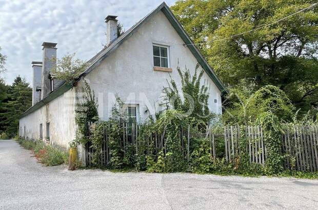 Grundstück kaufen in 2754 Waldegg (Bild 1)