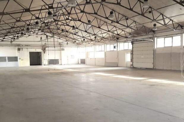 Gewerbeobjekt mieten in 4623 Gunskirchen (Bild 3)