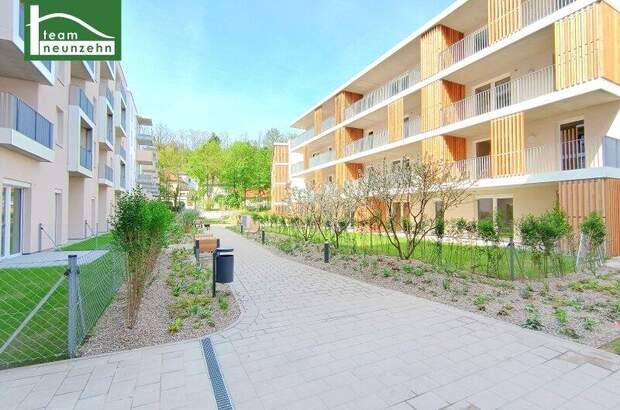 Terrassenwohnung mieten in 3100 St. Pölten (Bild 2)