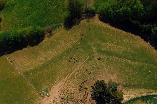 Haus kaufen in 8462 Gamlitz (Bild 4)