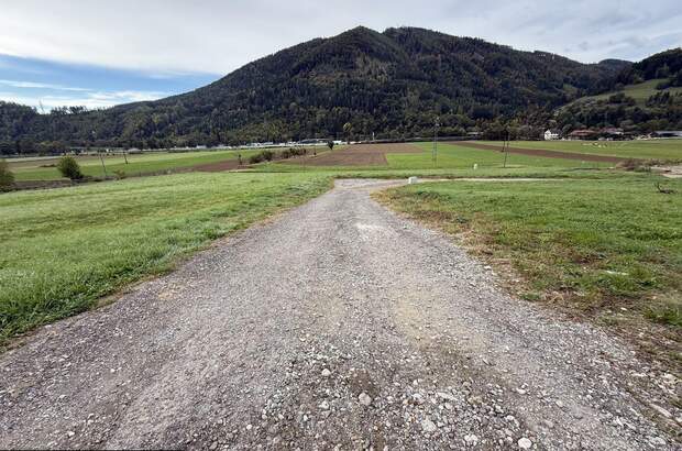 Grundstück kaufen in 8121 Prenning (Bild 3)