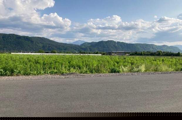 Gewerbeobjekt mieten in 9020 Klagenfurt (Bild 4)