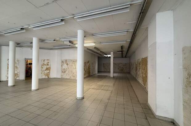 Gewerbeobjekt mieten in 1200 Wien (Bild 4)