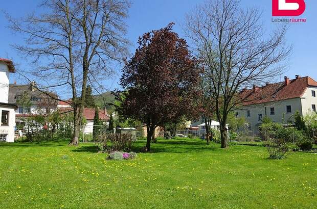 Mietwohnung in 4560 Kirchdorf (Bild 4)