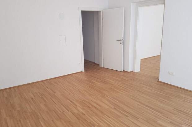 Altbauwohnung mieten in 1060 Wien (Bild 2)