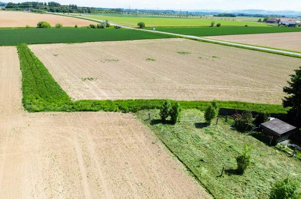 Grundstück kaufen in 4483 Hargelsberg (Bild 2)