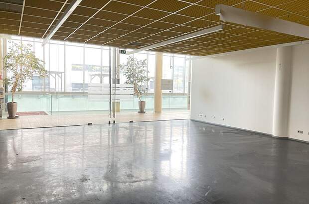 Gewerbeobjekt mieten in 5071 Himmelreich (Bild 5)