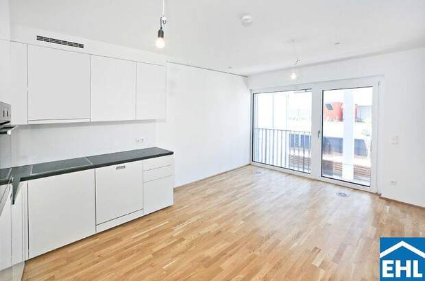 Terrassenwohnung mieten in 1030 Wien (Bild 4)
