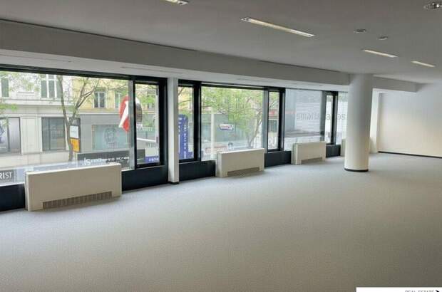 Gewerbeobjekt mieten in 1070 Wien (Bild 3)