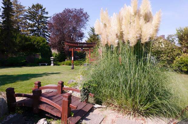 Haus mit Garten kaufen in 2320 Schwechat