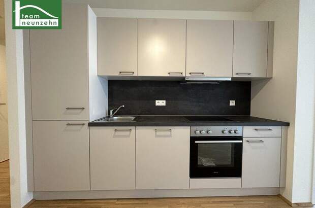 Terrassenwohnung mieten in 1200 Wien (Bild 3)