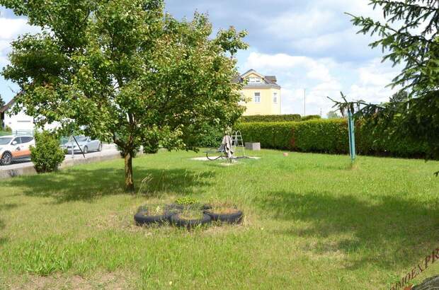 Haus mit Garten kaufen in 2402 Haslau (Bild 4)