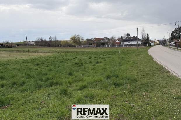 Grundstück kaufen in 2112 Hetzmannsdorf (Bild 2)